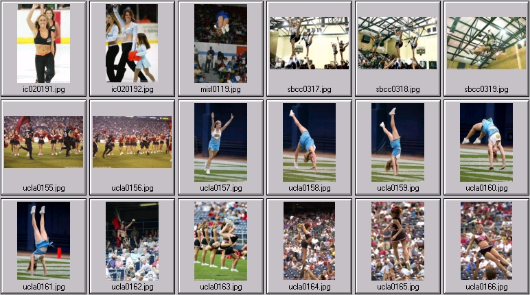 cheer dance sport