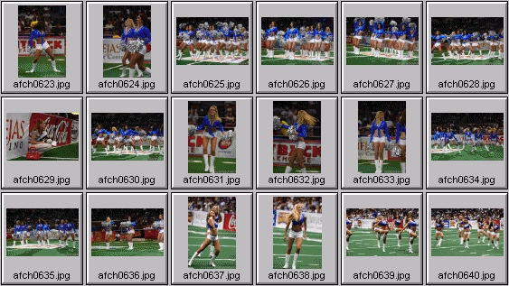 arena football cheerleading pictures