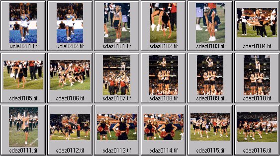 cheerleading photos