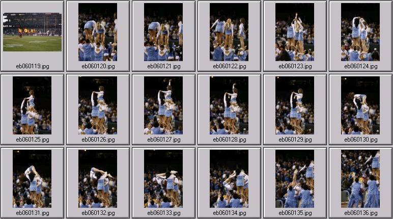 florida cheer