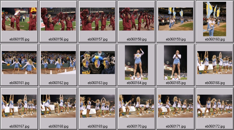 bruin cheer