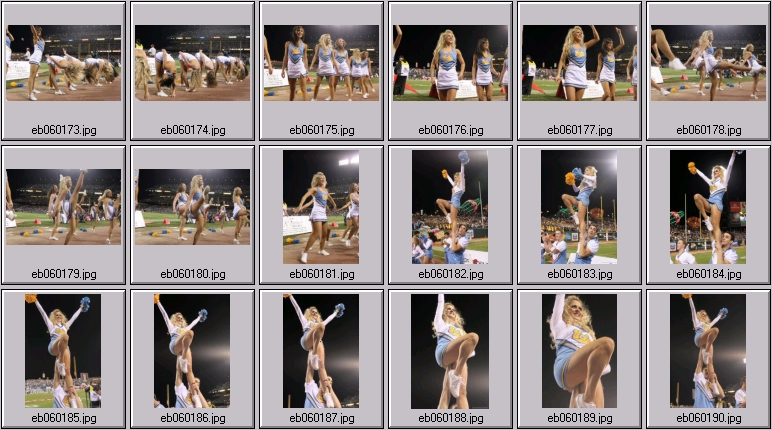 bruin cheer