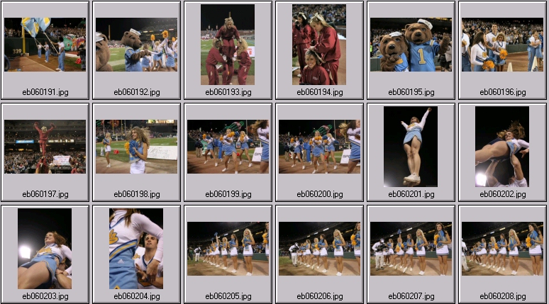 ucla cheerleading