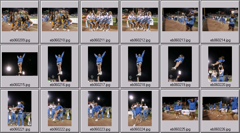 bruincheer