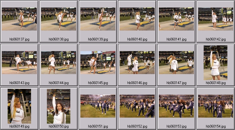 cal cheer