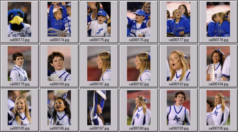 afa cheer