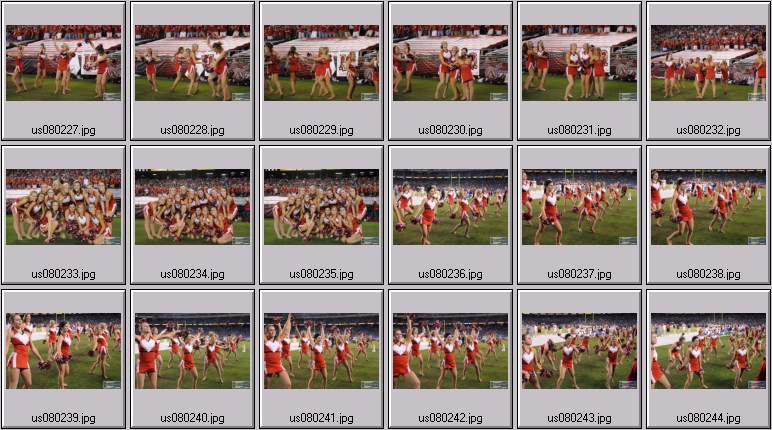 utah dance team