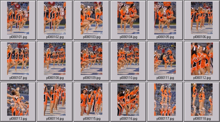 utah dance team