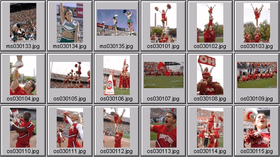 msu spartan cheerleading pictures