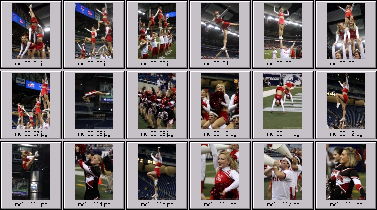 miami cheerleaders