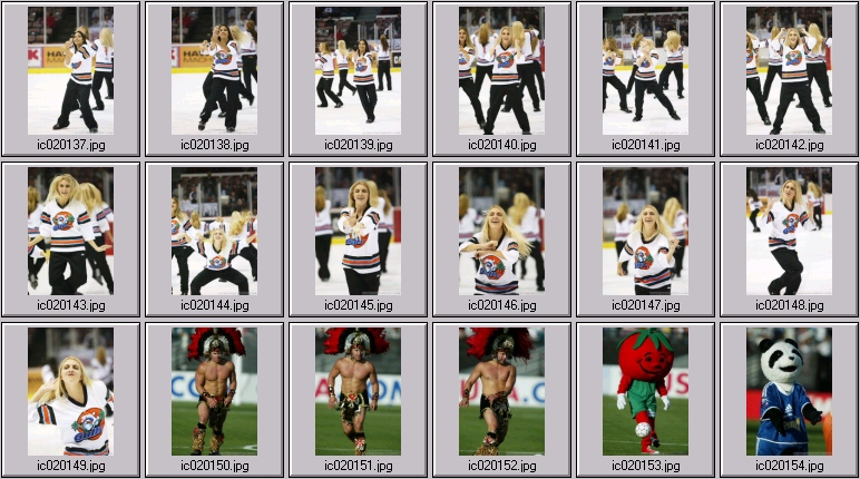cheer dance sport