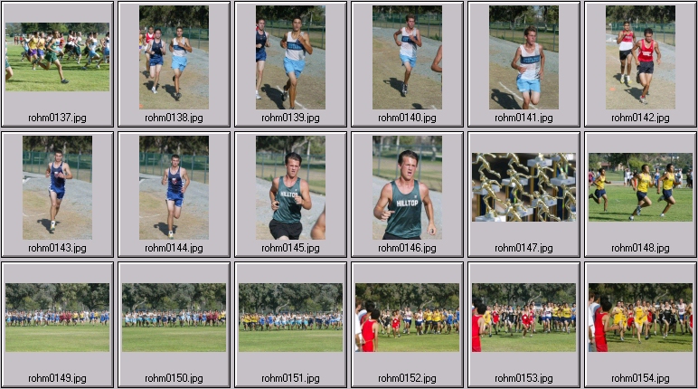 men's cross country