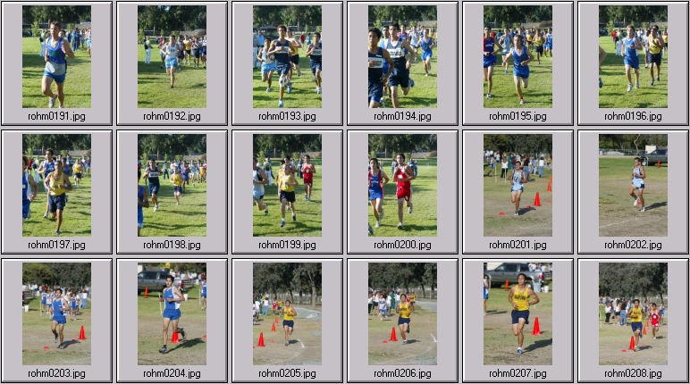 men's cross country