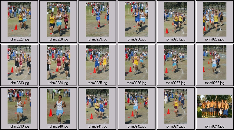 men's cross country