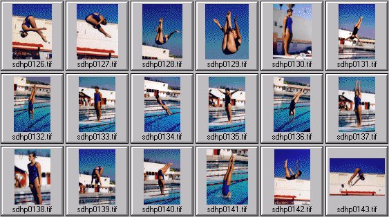 womens diving photos