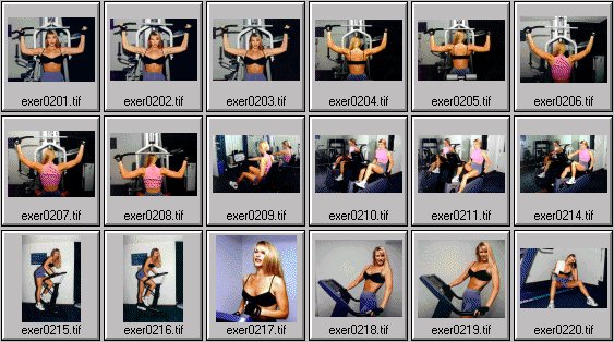womens exercise photos