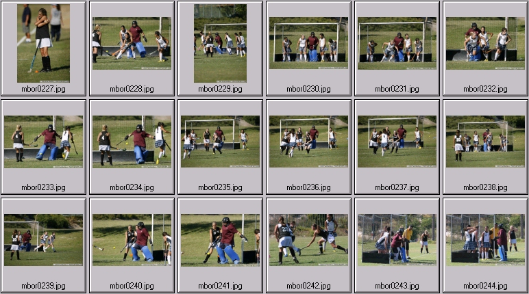 womens field hockey