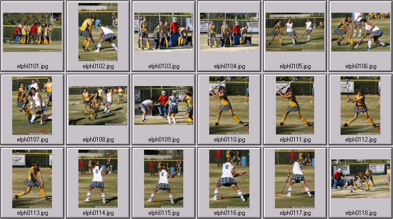 womens field hockey