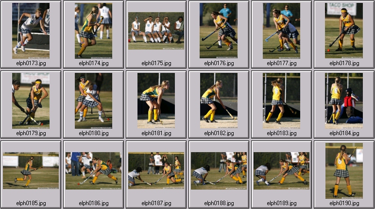 womens field hockey