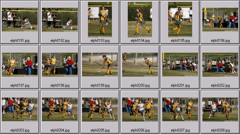 womens field hockey
