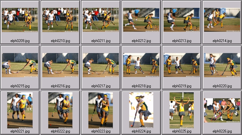 womens field hockey