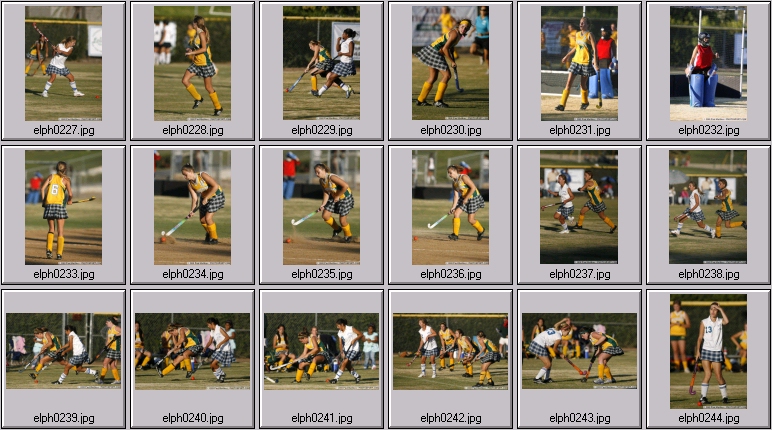 womens field hockey