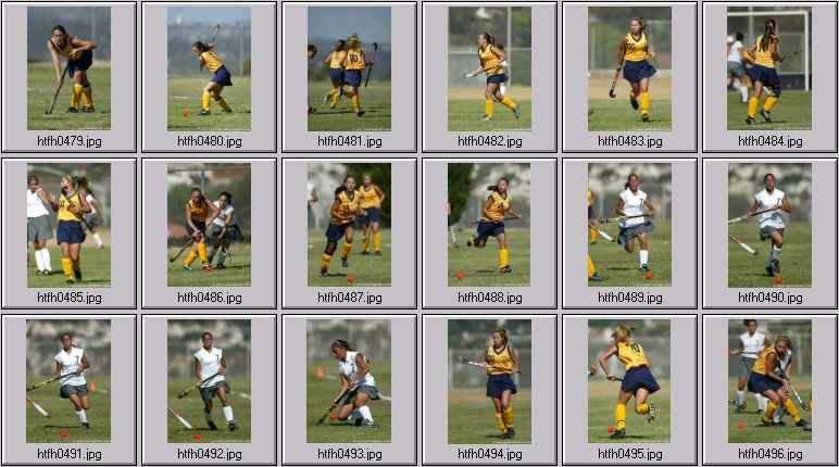womens field hockey