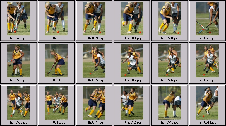 womens field hockey