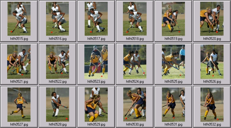 womens field hockey