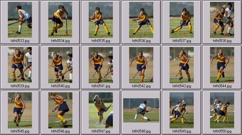 womens field hockey