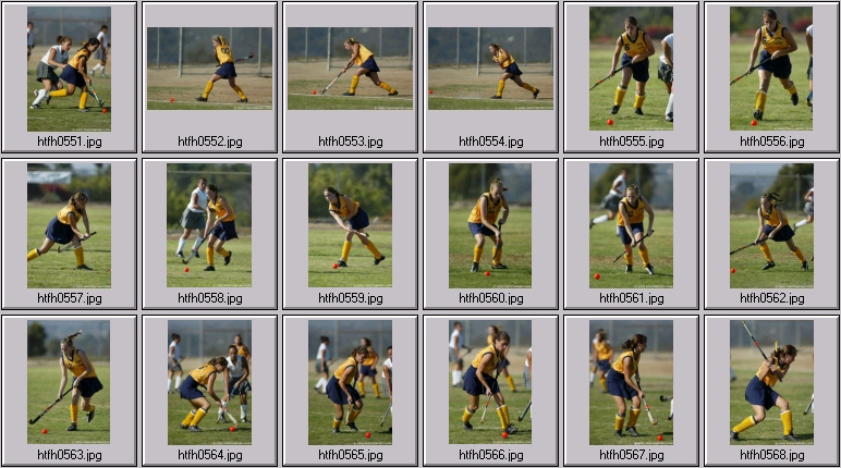 womens field hockey