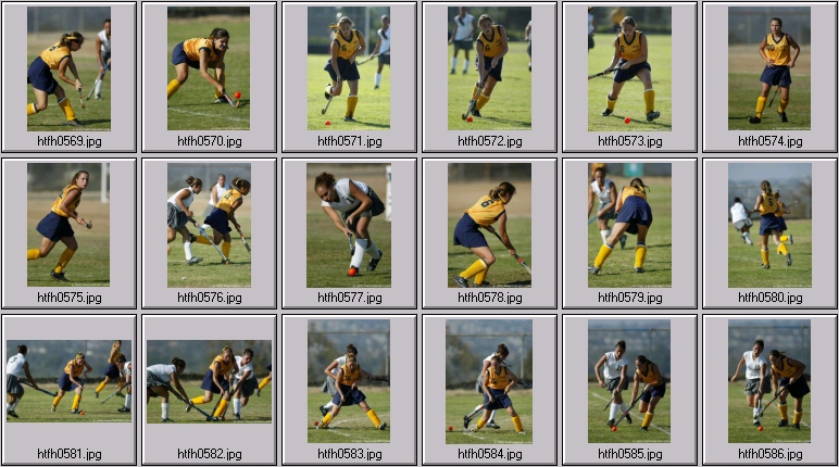 womens field hockey