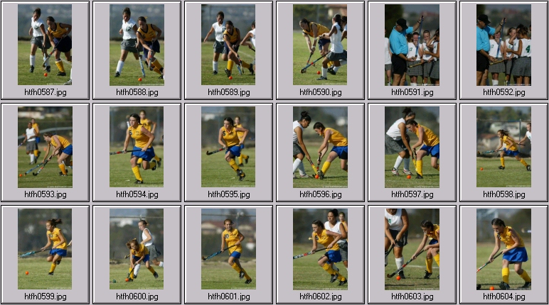 womens field hockey