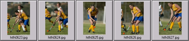 womens field hockey
