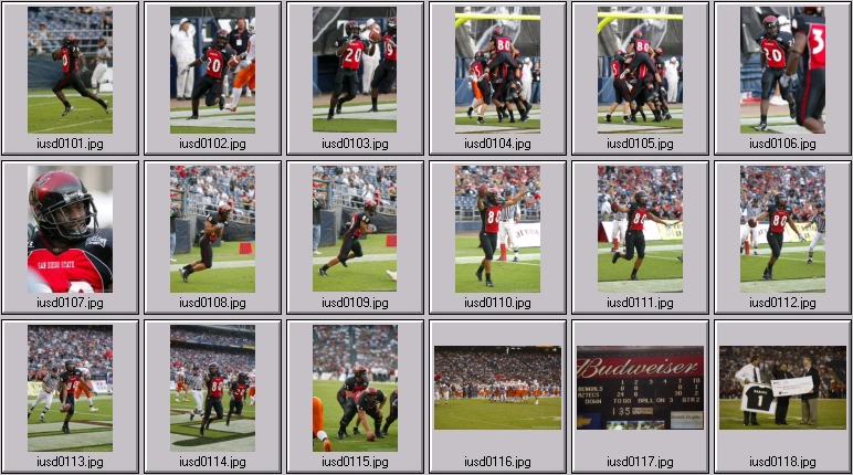 aztecs bengals