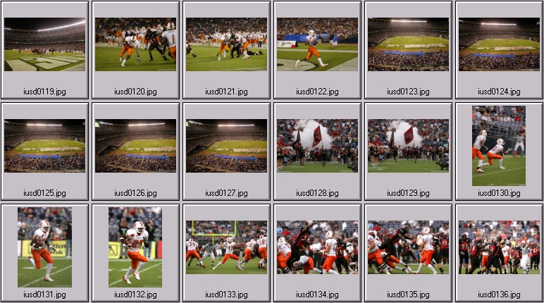 aztecs bengals