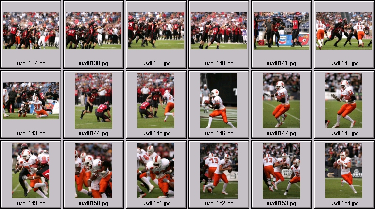 aztecs bengals