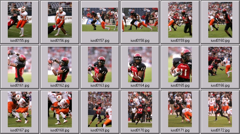 aztecs bengals