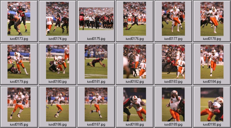 aztecs bengals
