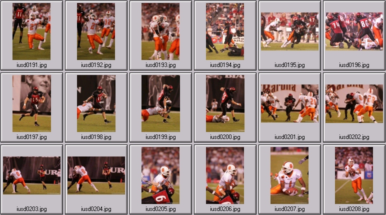 aztecs bengals