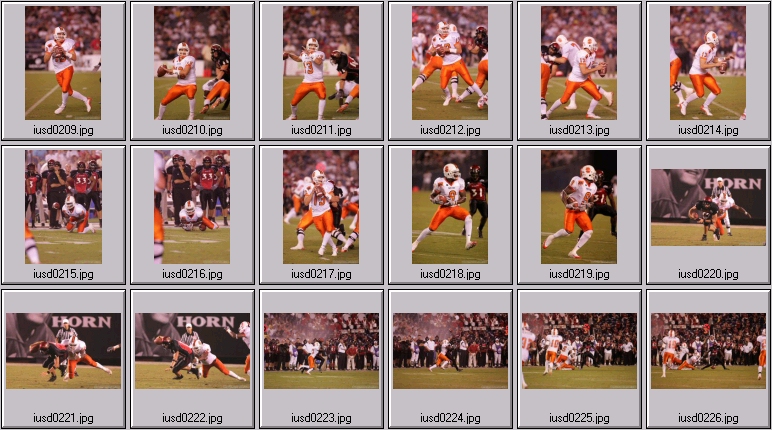 aztecs bengals