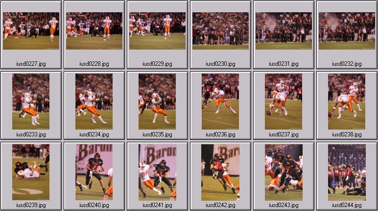 aztecs bengals