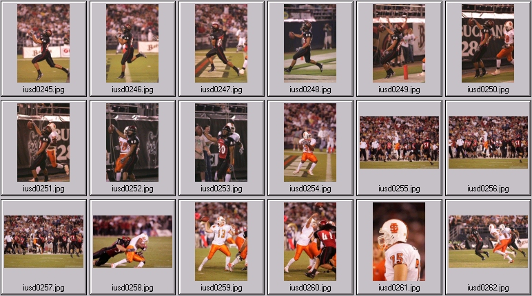 aztecs bengals