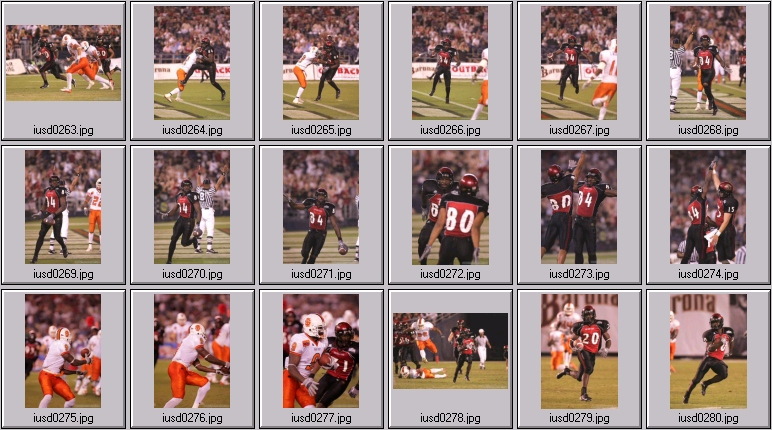 aztecs bengals