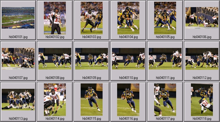 aztecs bengals