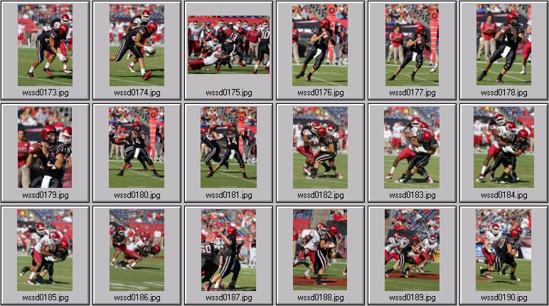 cougars football