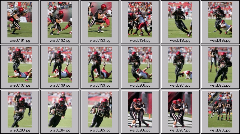 cougars football