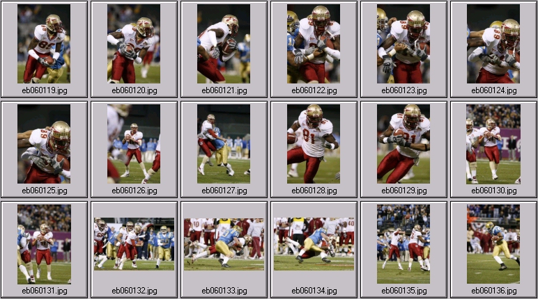seminole football