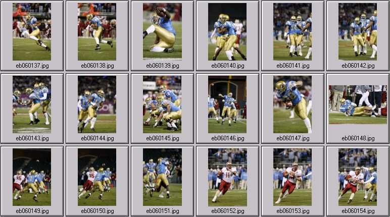 bruin football