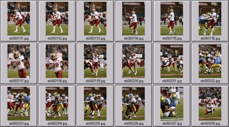 bruin football